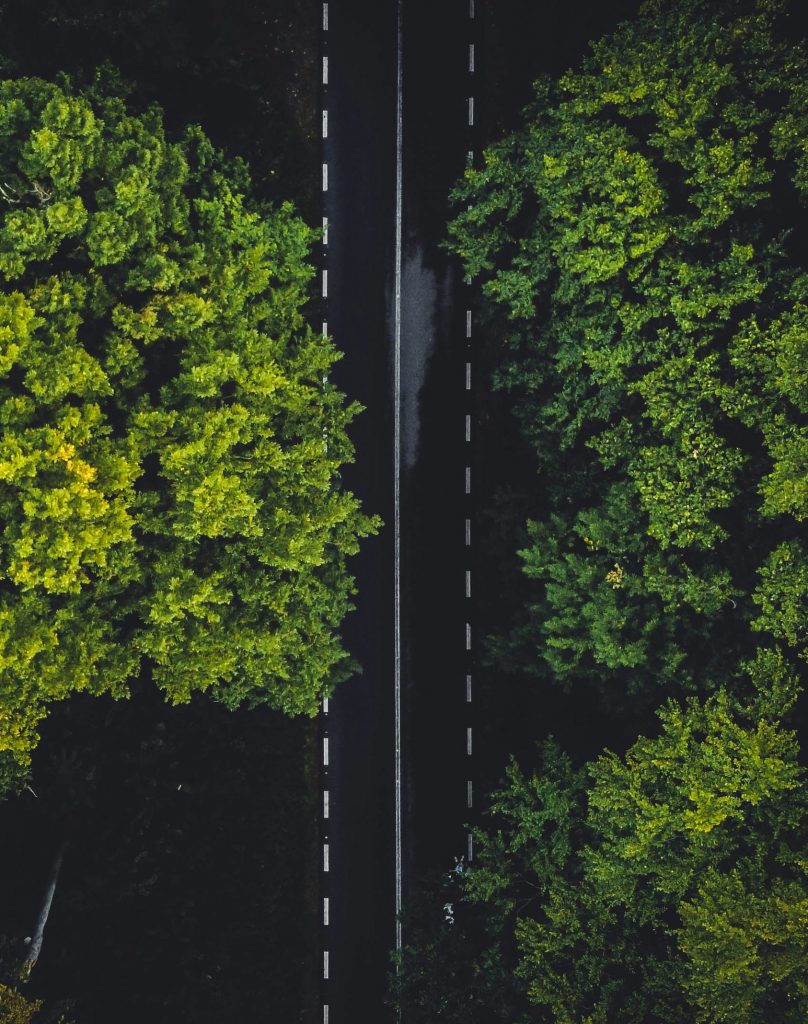 ESRS Straße Wald